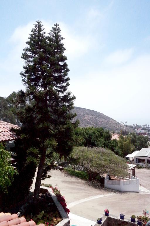 Quinta Los Arrayanes Hotel Ensenada Szoba fotó