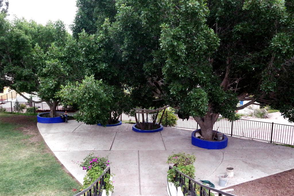 Quinta Los Arrayanes Hotel Ensenada Kültér fotó
